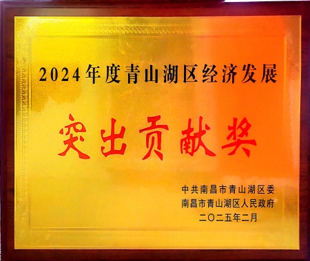 2024年度青山湖区经济发展突出贡献奖