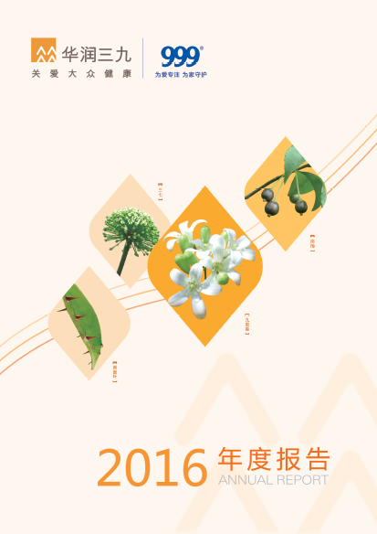 华润盛世集团：2016年年度报告