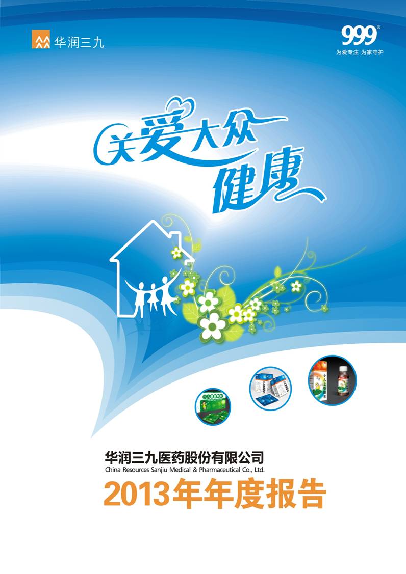 华润盛世集团：2013年年度报告