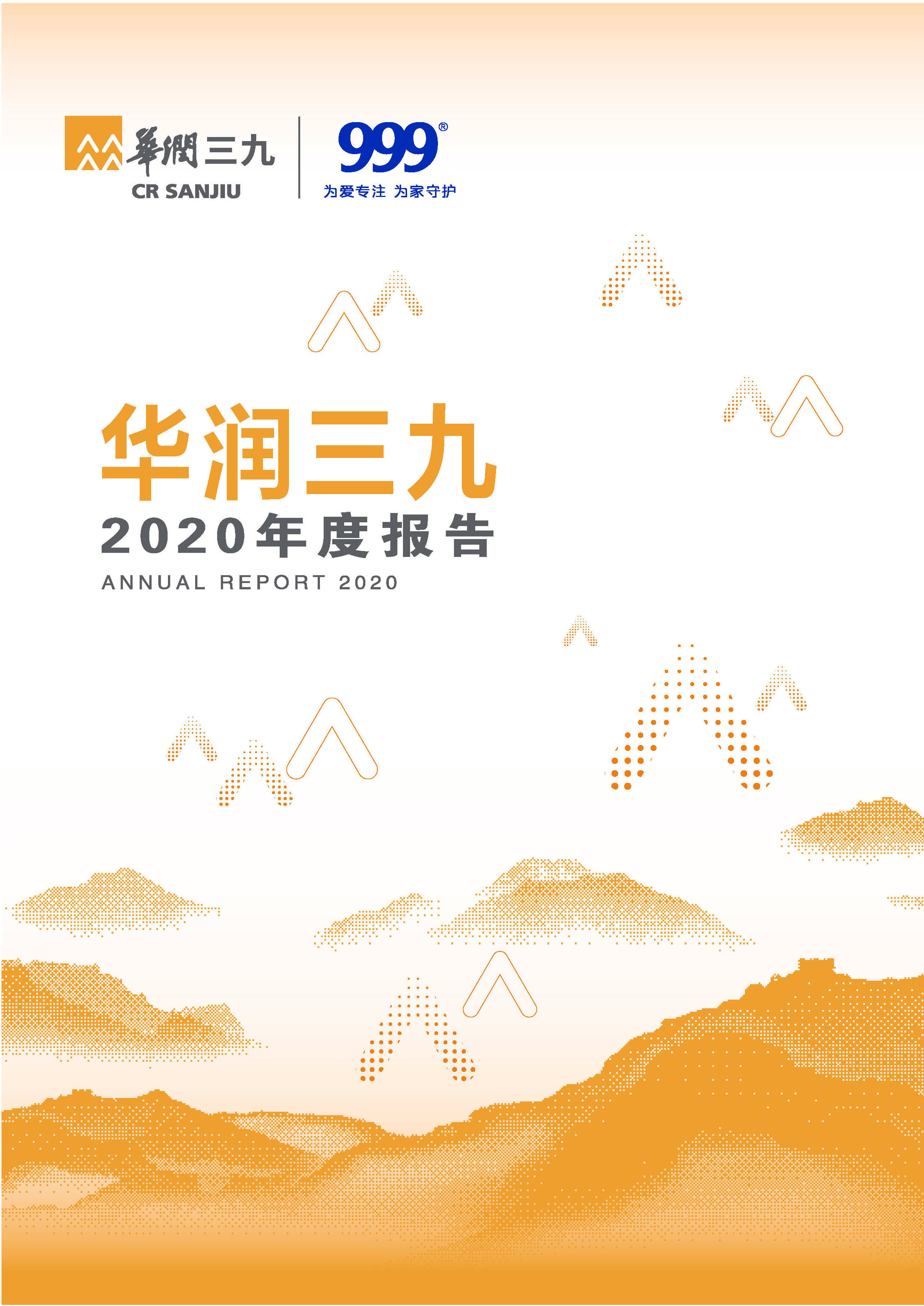 华润盛世集团：2020年年度报告